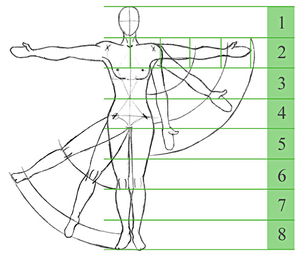 Learn to draw the human figure